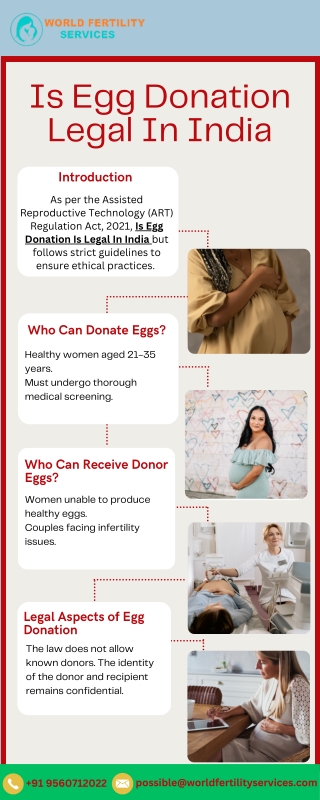 Is Egg Donation Is Legal In India
