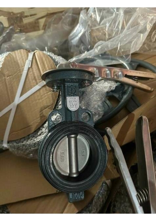 Van bướm gang - vanbuomhanoi