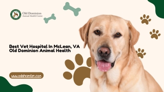 Compassionate Veterinary Care for Your Beloved Pets.