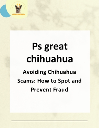 How to Avoid Chihuahua Scams Spotting Red Flags Before You Buy