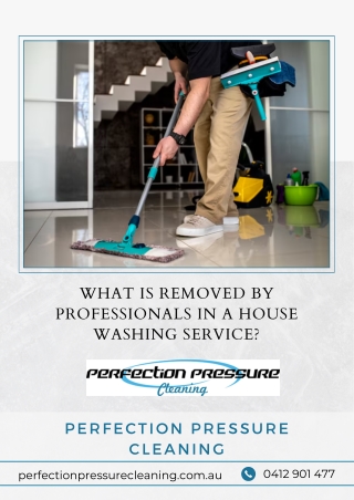 What is Removed By Professionals in a House Washing Service?
