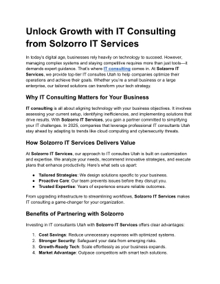 Unlock Growth with IT Consulting from Solzorro IT Services