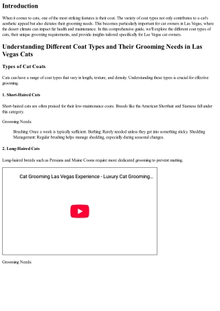 Understanding Different Coat Types and Their Grooming Needs in Las Vegas Cats