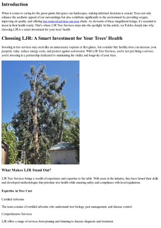 Choosing LJR: A Smart Investment for Your Trees’ Health