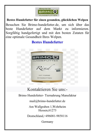 Bestes Hundefutter für einen gesunden, glücklichen Welpen
