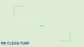 10 Expert Lawn Care Tips to Achieve a Pristine Turf