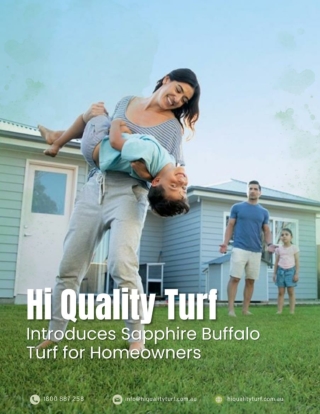 Hi Quality Turf Introduces Sapphire Buffalo Turf for Homeowners