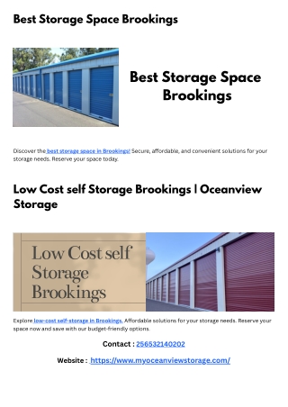 myoceanviewstorage