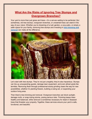 What Are the Risks of Ignoring Tree Stumps and Overgrown Branches