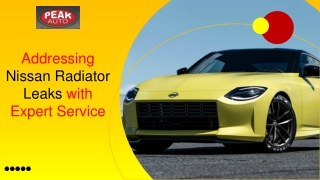 Addressing Nissan Radiator Leaks with Expert Service