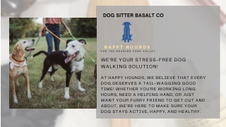 Dog Sitter Basalt CO