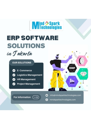 ERP Company in Jakarta, Indonesia - Mind Spark Technologies.