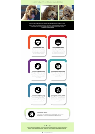 How to Choose the Best Top-Rated Labradoodle Breeder for Your Family