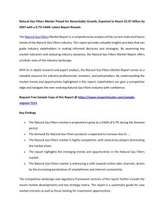 Natural Gas Filters Market Size 2037