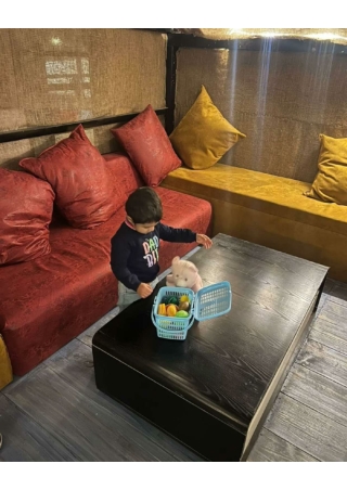 Best cafe at landour -9bows