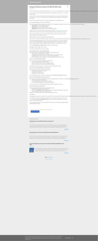 Emergency Tree Removal in Syracuse, NY: What to Do After a Storm