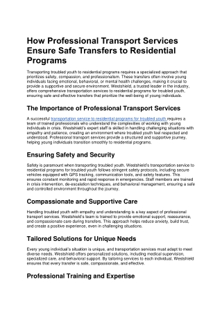 How Professional Transport Services Ensure Safe Transfers to Residential Programs