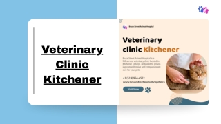Reliable Veterinarian Care at Bruce Street Animal Hospital