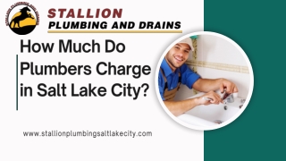 How Much Do Plumbers Charge in Salt Lake City