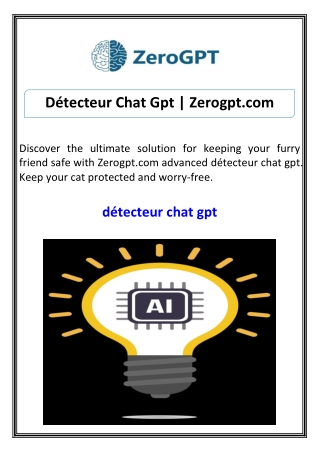 Détecteur Chat Gpt Zerogpt.com