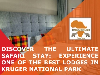 Discover the Ultimate Safari Stay Experience One of the Best Lodges in Kruger National Park