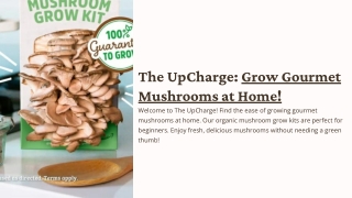 Organic Mushroom Grow Kit | The UpCharge