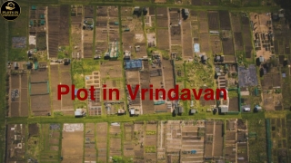 Plot in Vrindavan