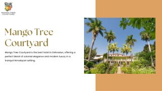 Hotel in Dehradun | Dehradun Hotel Price |Mango Tree Courtyard