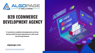 B2b Ecommerce Development Agency