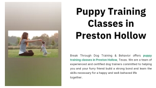 Puppy Training Classes in Preston Hollow