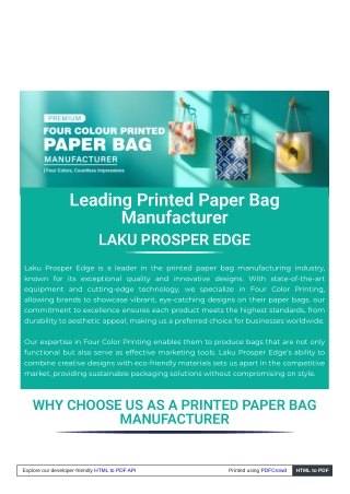 Four Colour printed paper bag