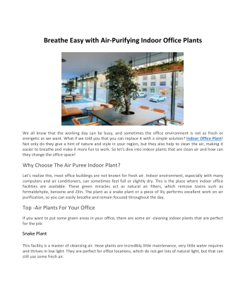 Breathe Easy with Air-Purifying Indoor Office Plants