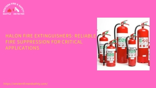 Halon Fire Extinguishers Reliable Fire Suppression for Critical Applications