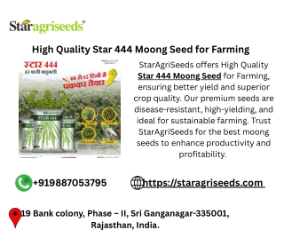 High Quality Star 444 Moong Seed for Farming – StarAgriSeeds