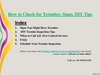 How to Check for Termites: Signs, DIY Tips