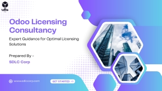 Odoo Licensing Consultancy (1)