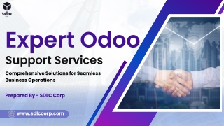 Expert Odoo support services (1)