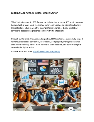 Leading SEO Agency in Real Estate Sector (1)