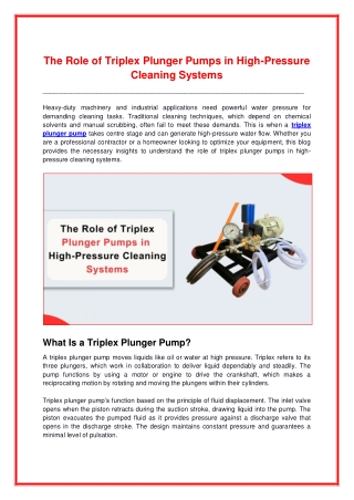 The Role of Triplex Plunger Pumps in High-Pressure Cleaning Systems