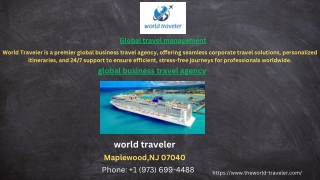 Global travel management