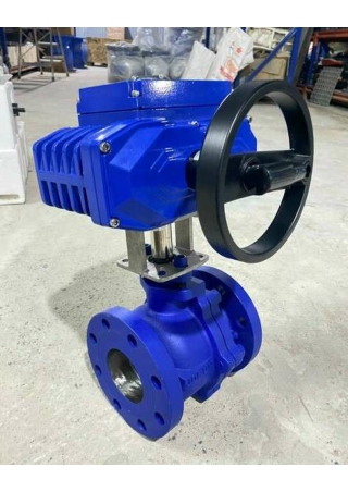 Van bi mặt bích điều khiển điện - vanbuomhanoi