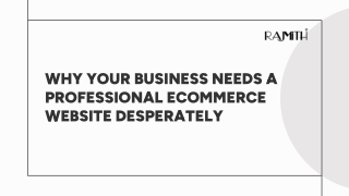 WHY YOUR BUSINESS NEEDS A PROFESSIONAL ECOMMERCE WEBSITE DESPERATELY