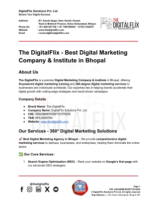 The DigitalFlix Company and Institute of Digital Marketing