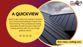 Highly-Effective Metal Roof Coating Services| Top-Rated Roofing Company in Reyno