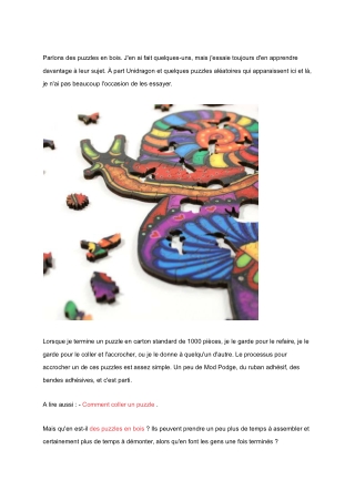 Top 5 Must-Try Puzzle Brands