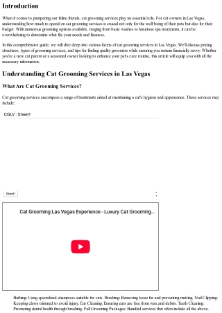 How Much Should You Spend on Cat Grooming Services in Las Vegas?
