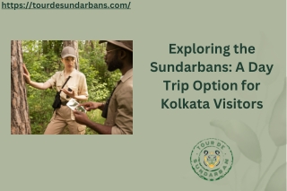 Exploring the Sundarbans: A Day Trip Option for Kolkata Visitors