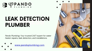 Leak Detection Plumber