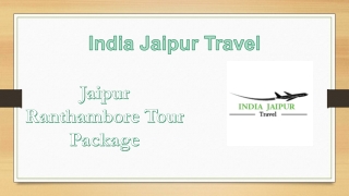 Jaipur Ranthambore Tour Package (5)