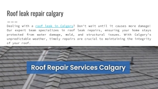Roof leak repair calgary